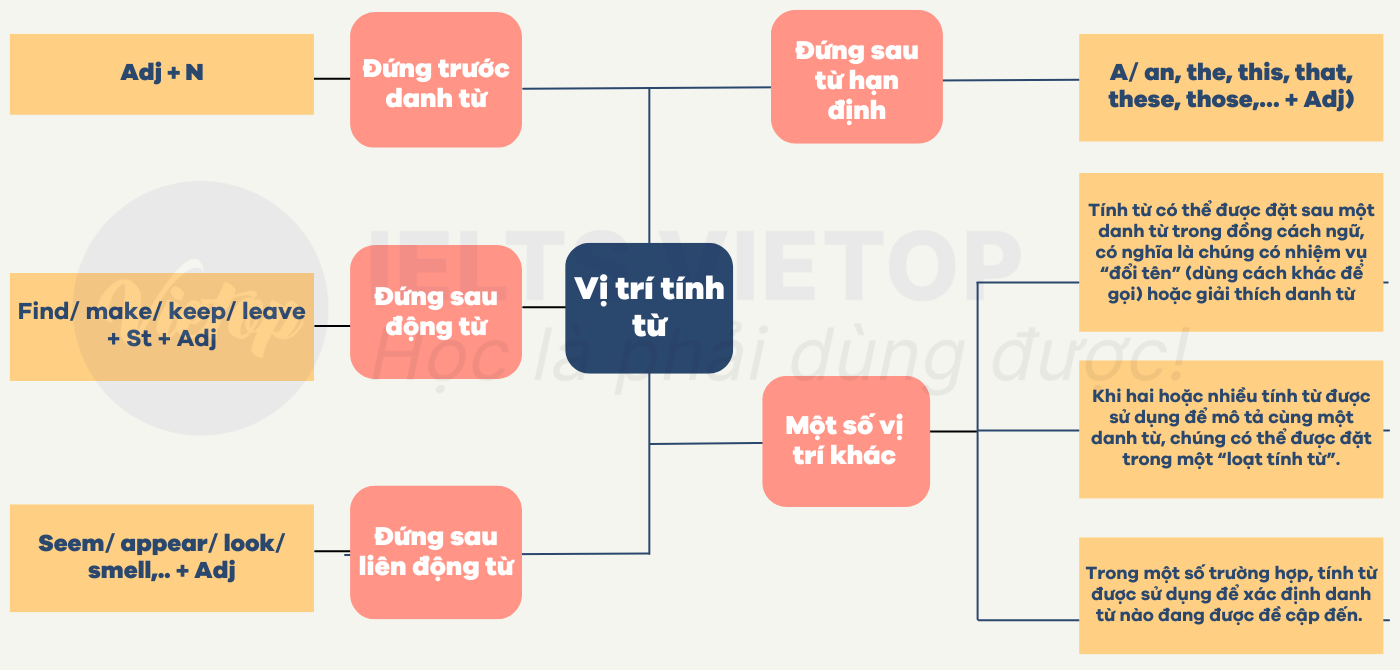 Sau tính từ là gì? Gallery 1