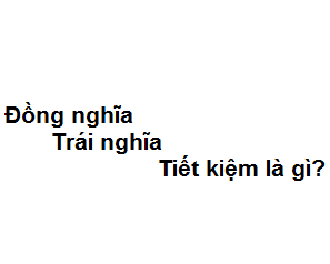 Trái nghĩa với tiết kiệm là gì? Gallery 1