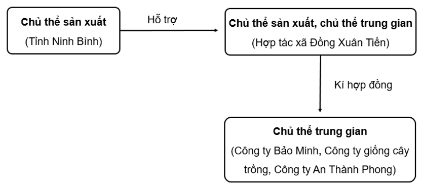 Vai trò của chủ thể trung gian Gallery 1