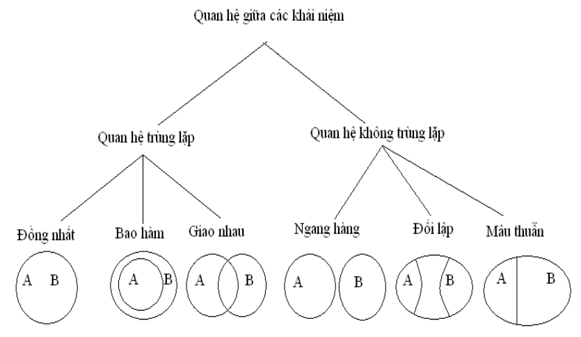 Ví dụ về Khái Niệm Gallery 1