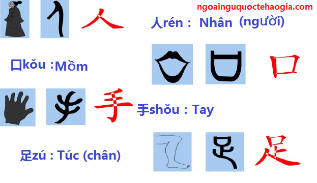 Chữ Tượng Ý Là Gì? Giải Mã Bí Ẩn Về Hệ Thống Viết Cổ Đại Gallery 2