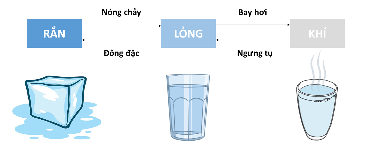 Ví dụ về Sự Đông Đặc Gallery 1