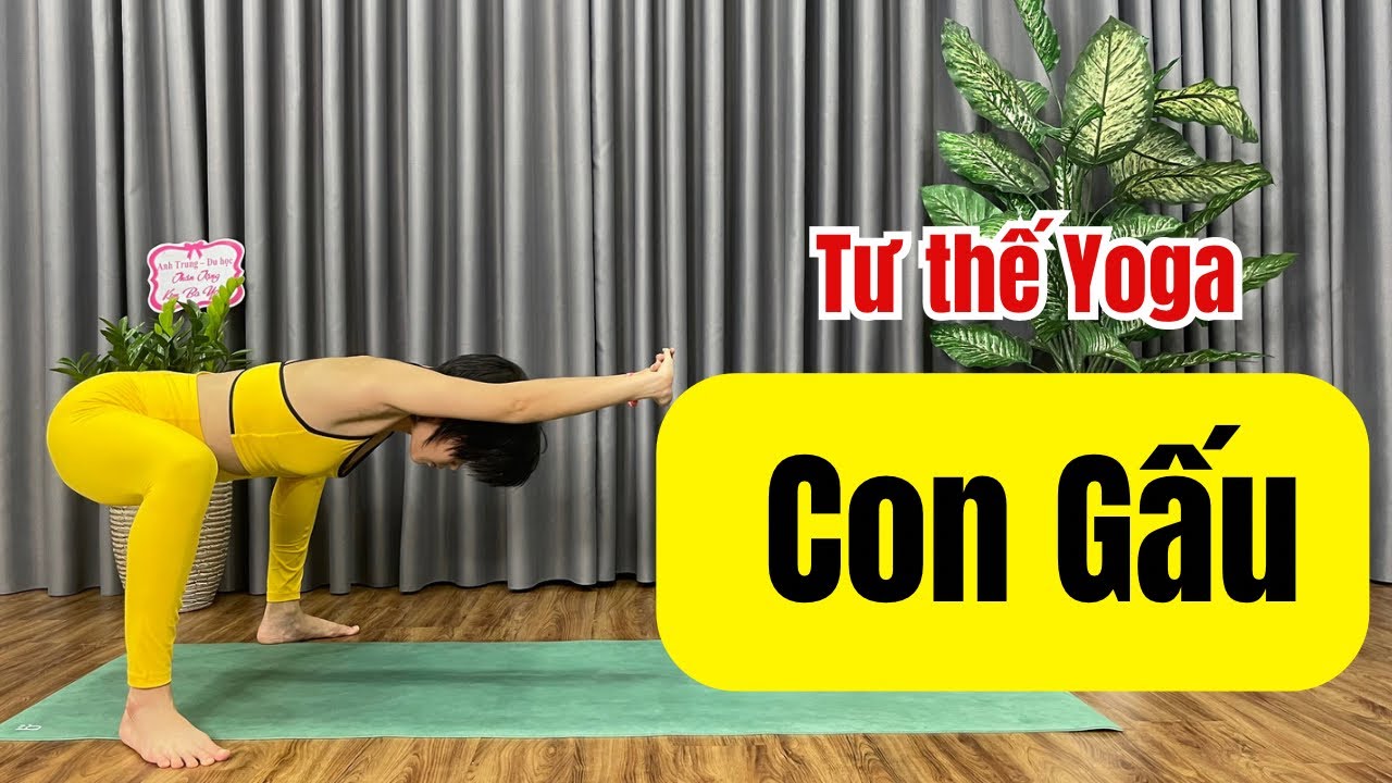 Tư Thế Gâu Gâu Là Gì? Hướng Dẫn Chi Tiết Vị Trí Và Lợi Ích Gallery 1
