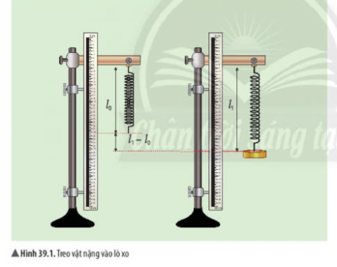 Đặc Điểm Biến Dạng Của Lò Xo Gallery 2