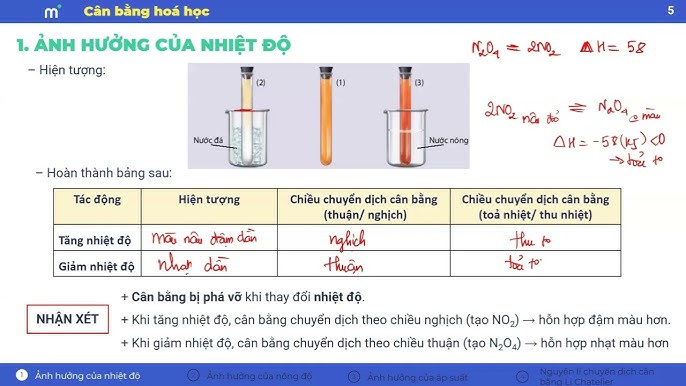 Công thức hóa học dài nhất là gì? Gallery 1