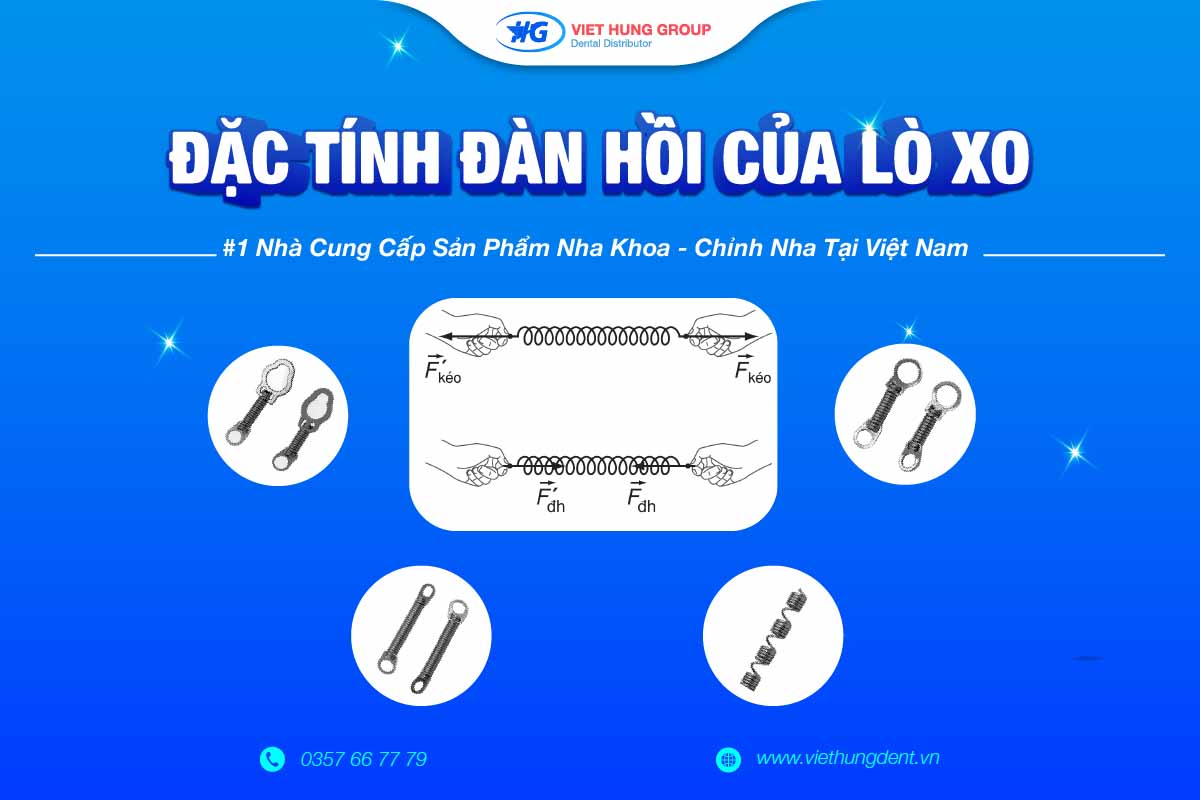 Cách Tính Độ Dãn Của Lò Xo Gallery 2