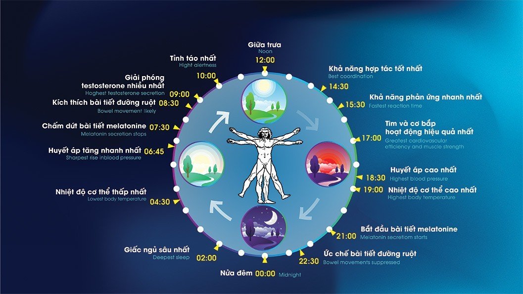 Vì Sao Tinh Tú Gallery 2