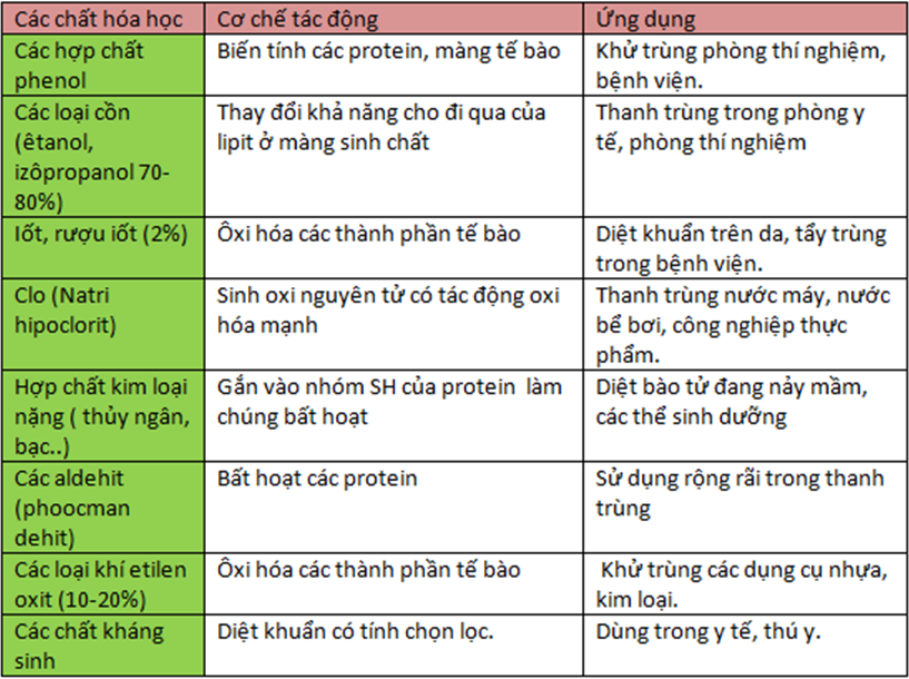 Học lớp 10 là bao nhiêu tuổi? Gallery 2