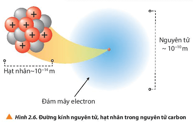 Đường kính hạt nhân Gallery 1