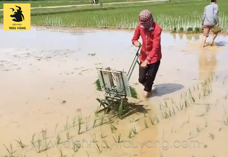 Giá Máy Cấy Lúa Mới Nhất Năm 2024 Gallery 1