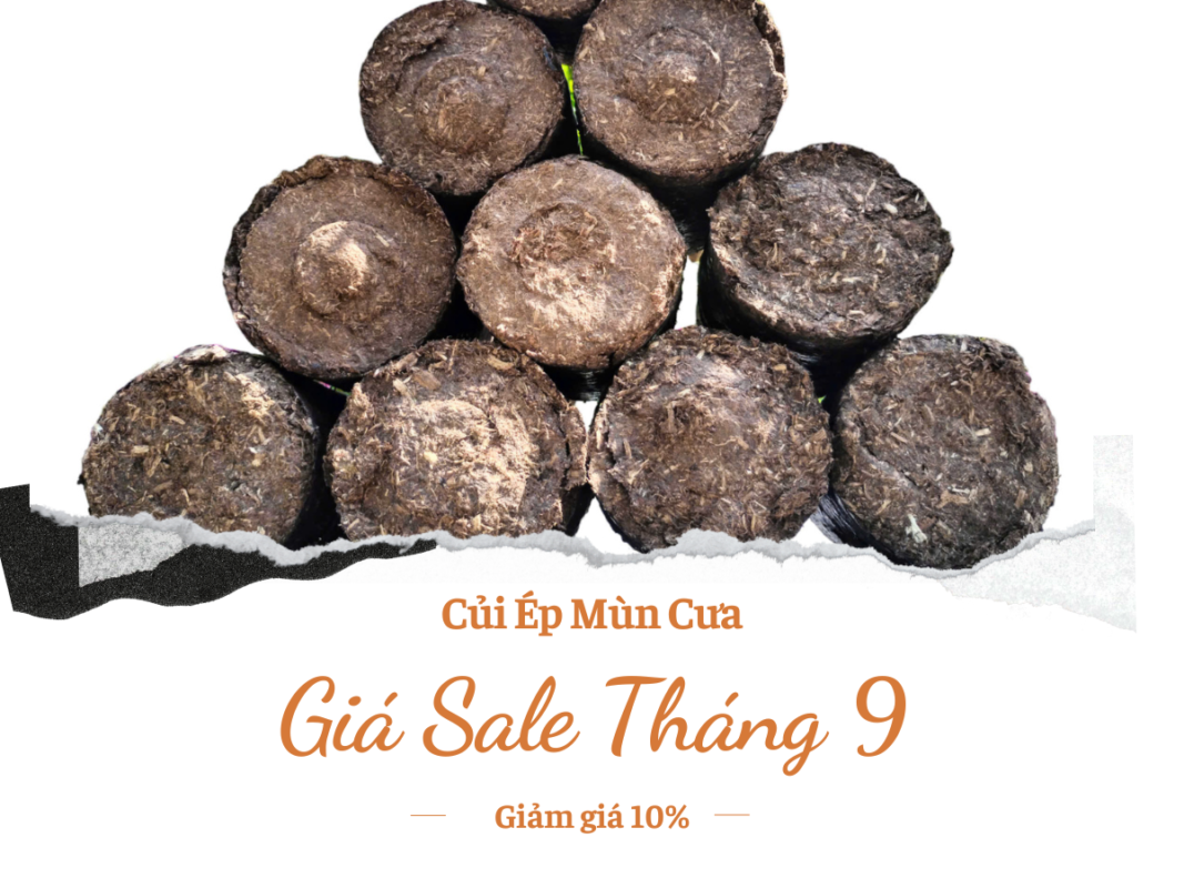 Giá Mùn Cưa Hiện Nay Gallery 1