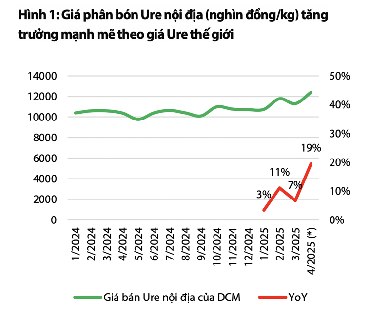 Phân Ure Giá Bao Nhiêu? Gallery 1