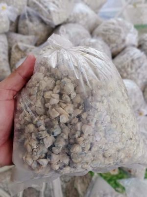 Ruột Hến Bao Nhiêu 1 Kg? Gallery 1