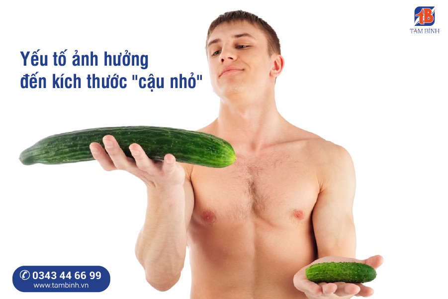 Chim dài bao nhiêu là vừa? Gallery 2
