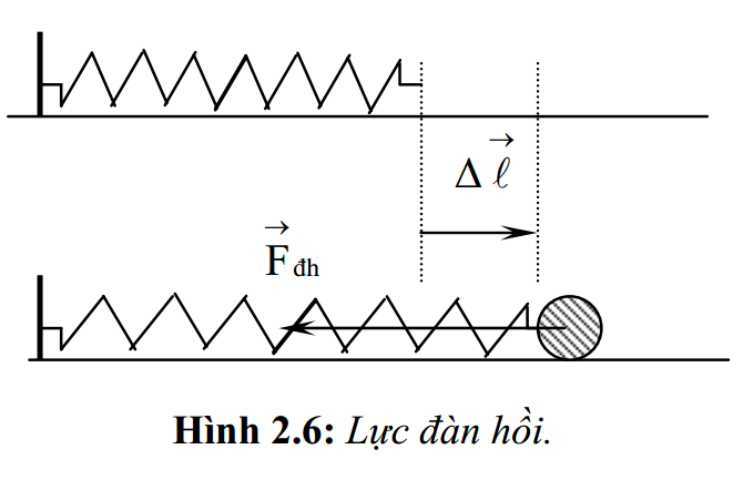 Tính Lực Đàn Hồi Gallery 1