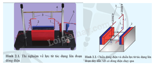 Lực Từ Tác Dụng Lên Đoạn Dây Dẫn Mang Dòng Điện Đặt Trong Từ Trường Đều Có Phương Gallery 2