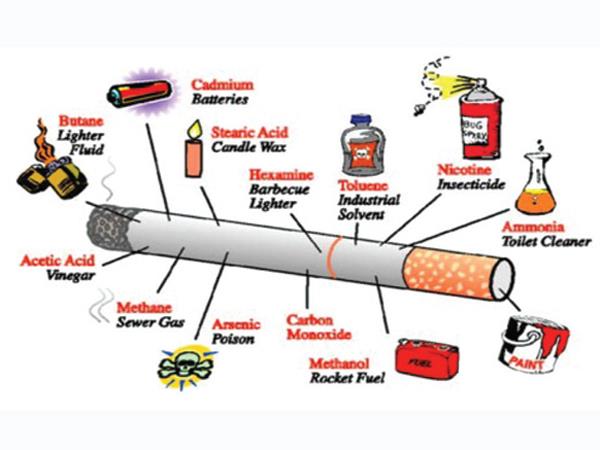 Nicotine trong thuốc lá là bao nhiêu? Gallery 1