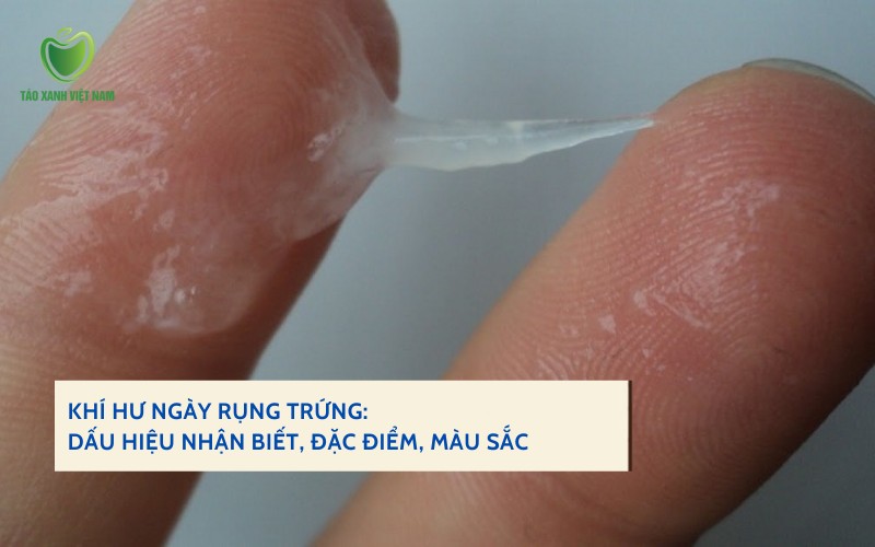 Rụng trứng có màu gì? Gallery 1
