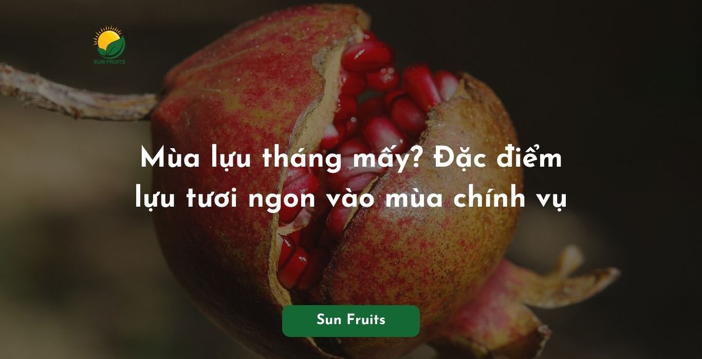 Mùa Lựu Tháng Mấy? Gallery 2