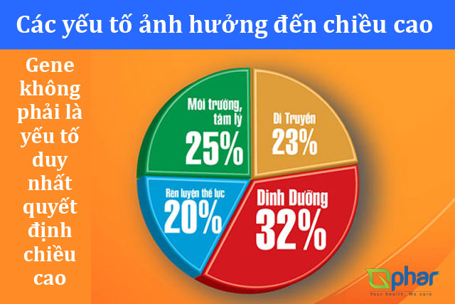 Trán Bao Nhiêu Cm Là Cao? Gallery 1