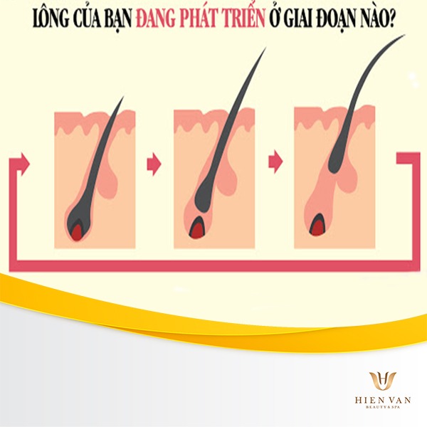 Nhổ lông có mọc lại không? Gallery 2