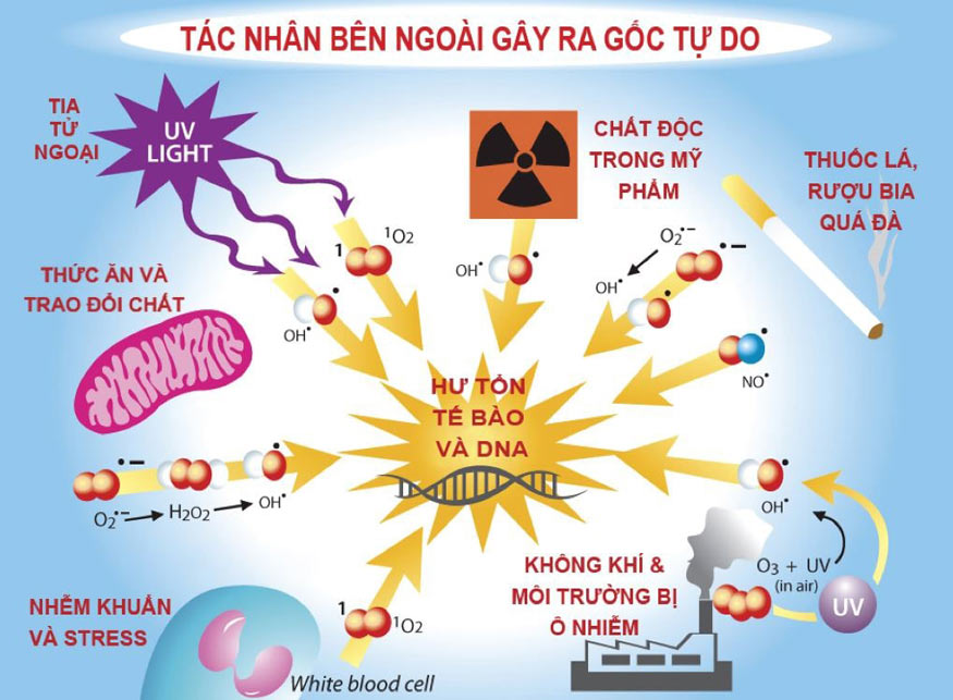 Nguyên nhân đồng bị oxi hóa Gallery 1