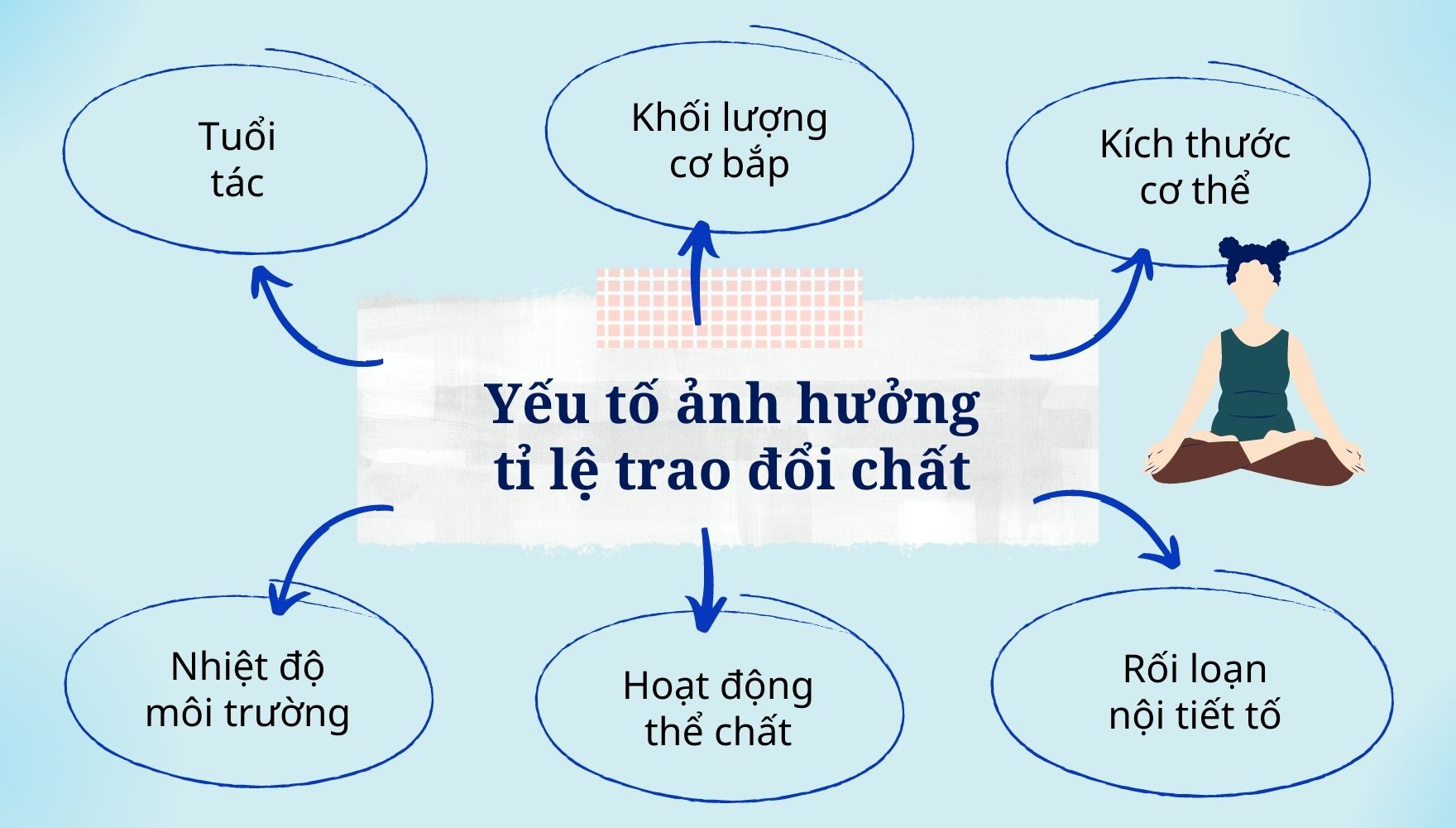 Quá trình trao đổi chất là gì? Gallery 2