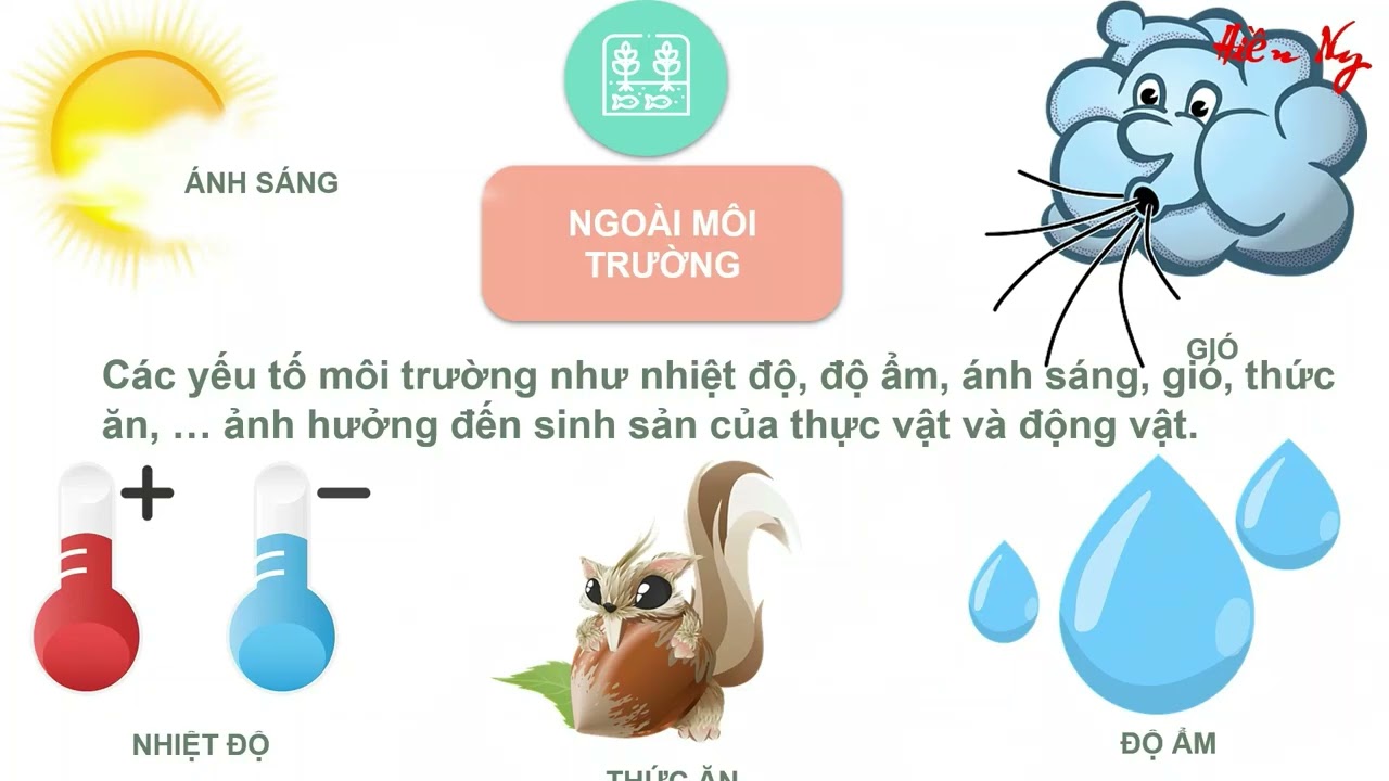 Sinh Sôi Nảy nở Gallery 1
