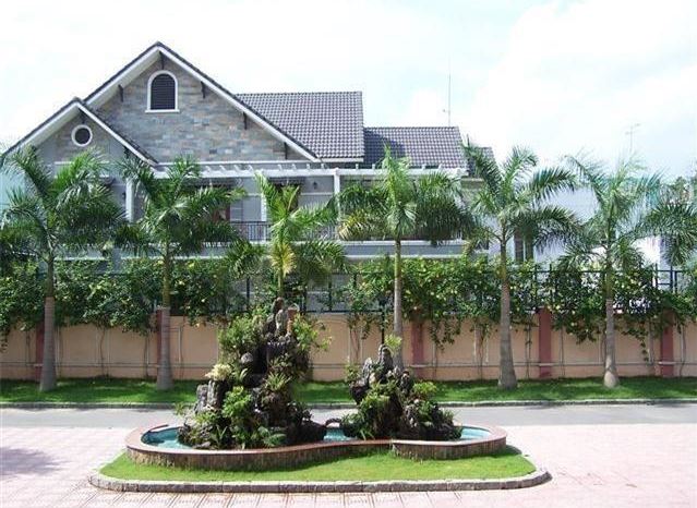 Trồng cau trước nhà nên trồng mấy cây? Gallery 1