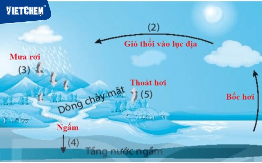 Sự bay hơi của nước là gì? Gallery 1