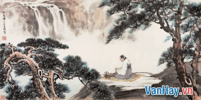 Phân tích thu vịnh: Hiểu rõ hơn về hiện tượng tự nhiên kỳ thú này Gallery 1