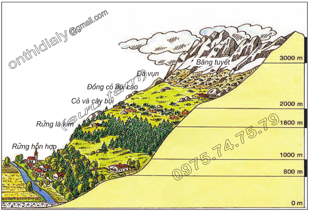 Hệ sinh thái rừng ngập mặn phân bố ở đâu? Gallery 2