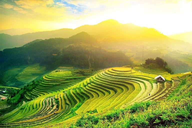 Mùa Lúa Chín Tháng Mấy? Gallery 2