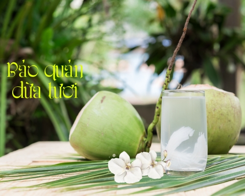 Dừa tươi để được bao lâu? Gallery 1