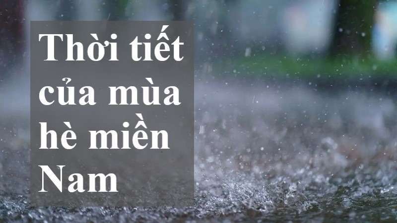 Mùa hè từ tháng mấy đến tháng mấy? Gallery 2