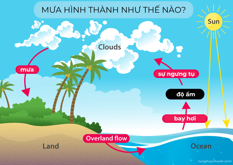 Bao Giờ Tạnh Mưa? Gallery 2