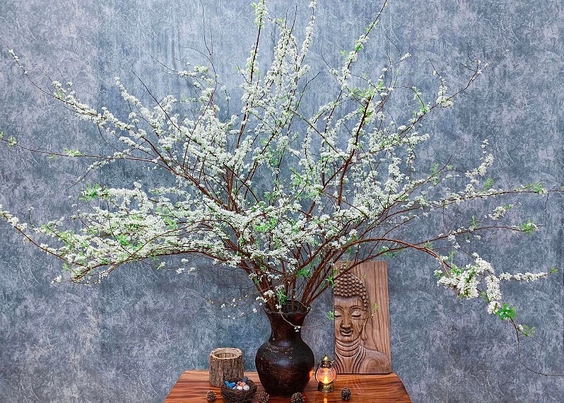 Cắm Tuyết Mai Bao Lâu Thì Nở? Gallery 1