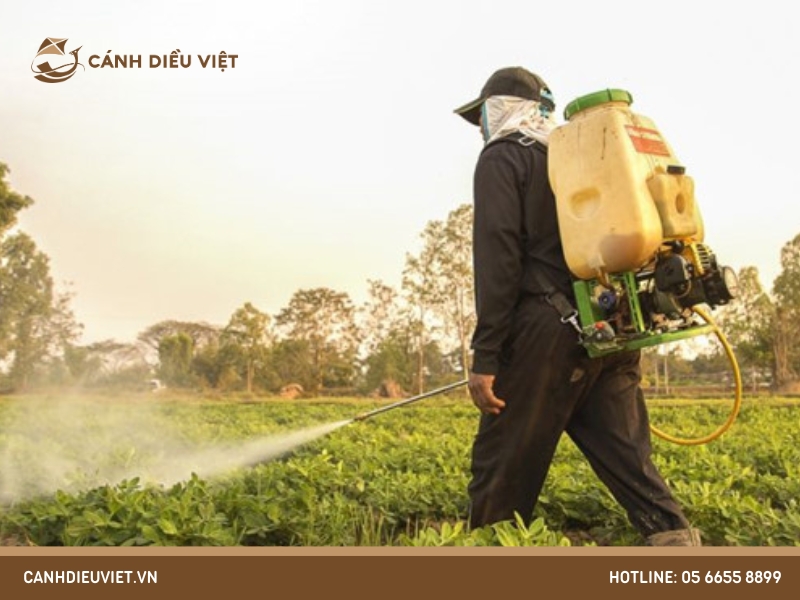 Phun thuốc sâu bao lâu thì sâu chết? Gallery 1