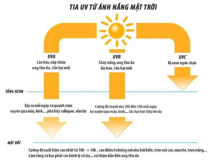 Tắm nắng bao lâu là đủ? Gallery 2