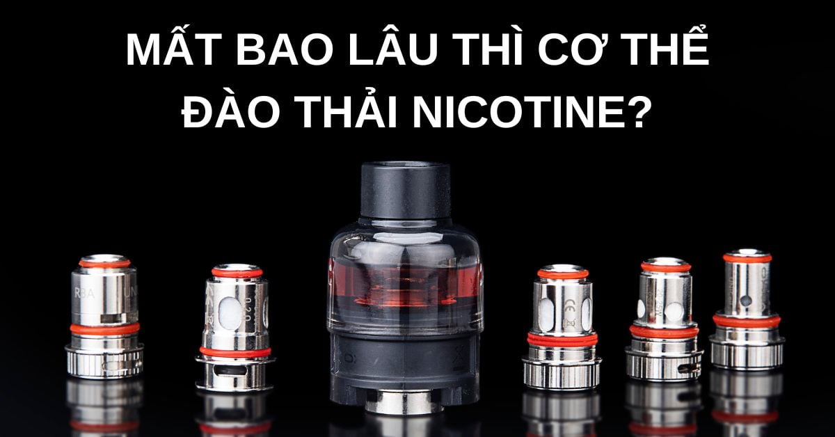 Nicotine Tồn Tại Trong Cơ Thể Bao Lâu? Gallery 2