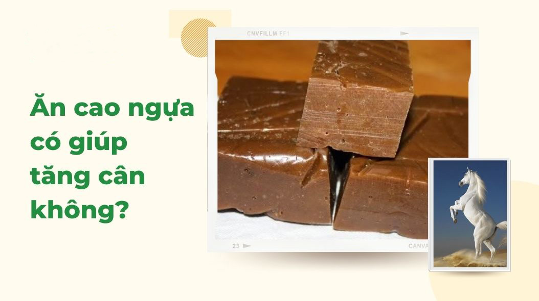 Ăn Cao Ngựa Có Béo Không? Gallery 2