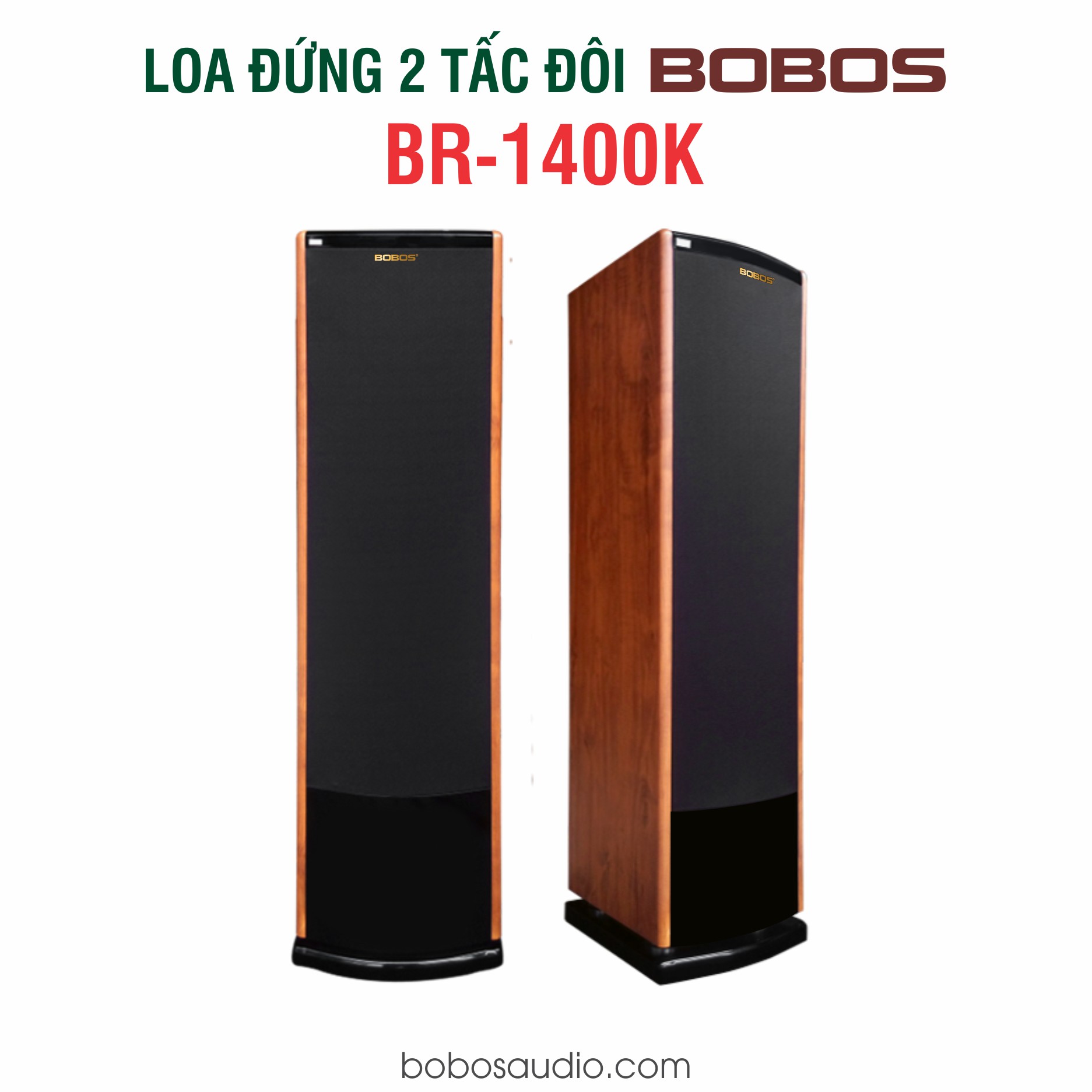 Loa 2 Tấc Rưỡi: Hướng dẫn chọn mua và đánh giá chất lượng Gallery 1