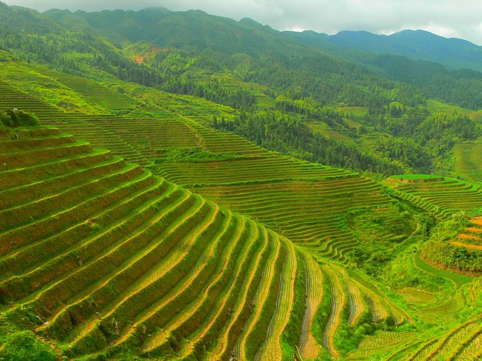 Thế nào là cảnh quan thiên nhiên? Gallery 1