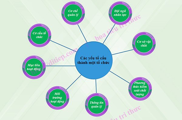 Đặc Điểm Cấu Tạo Gallery 1
