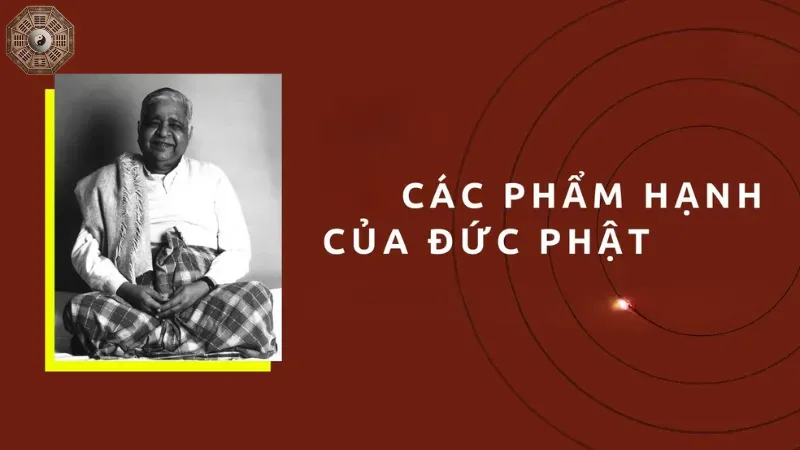 Phẩm Hạnh Là Gì? Gallery 1