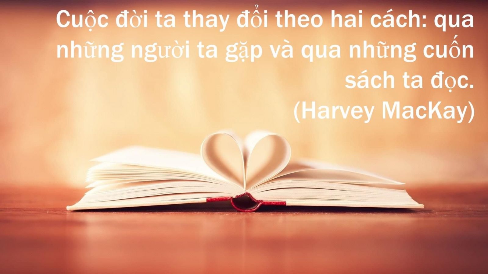 Văn hóa đọc sách là gì? Gallery 1