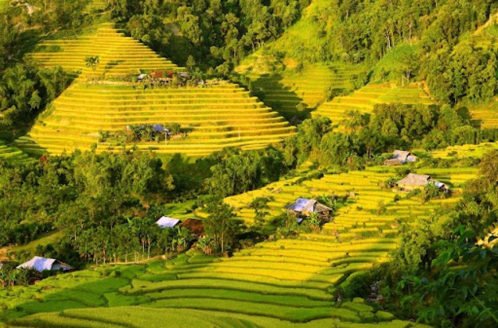 Miền núi nước ta dân cư thưa thớt chủ yếu do Gallery 2
