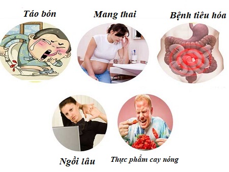 Nguyên nhân gây bệnh trĩ là gì? Gallery 1