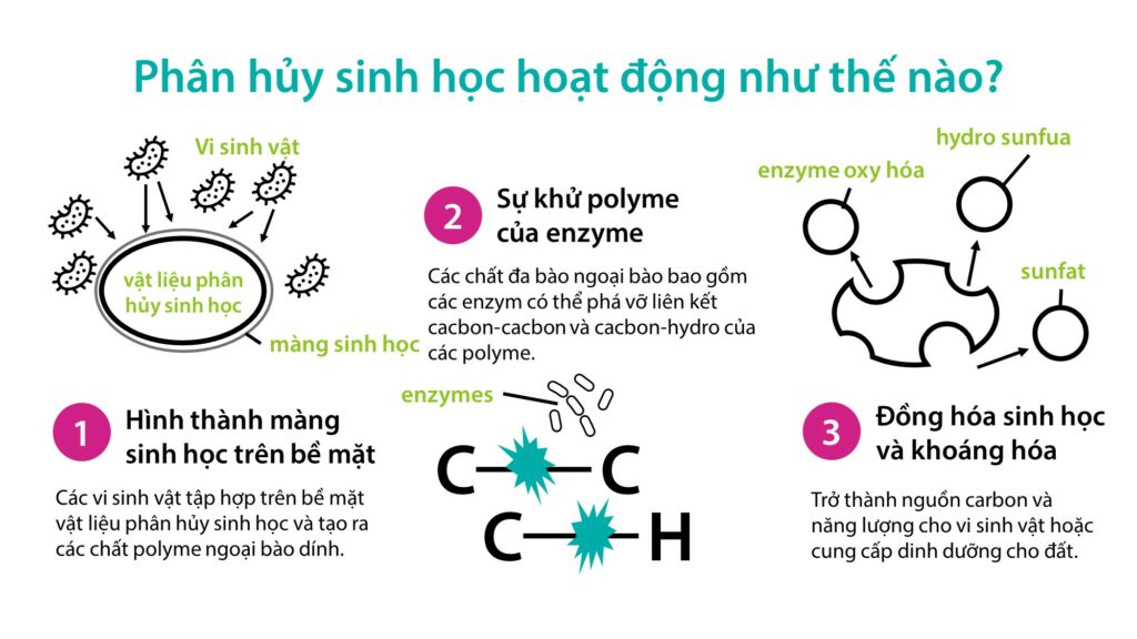 Những Thứ Có Thể Phá Vỡ Gallery 2