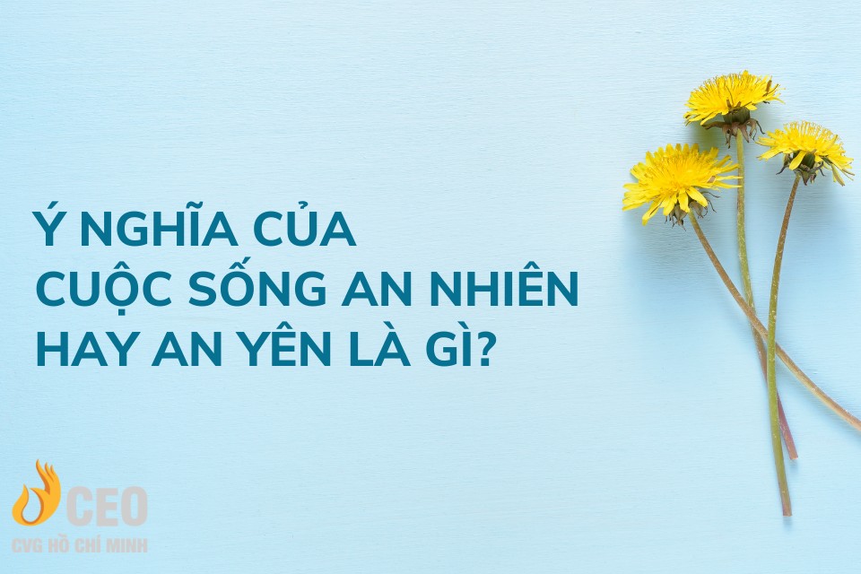 Một Đời An Nhiên Là Gì? Gallery 1